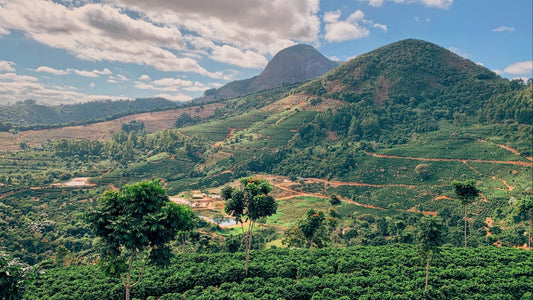 Fazenda Pedra Redonda