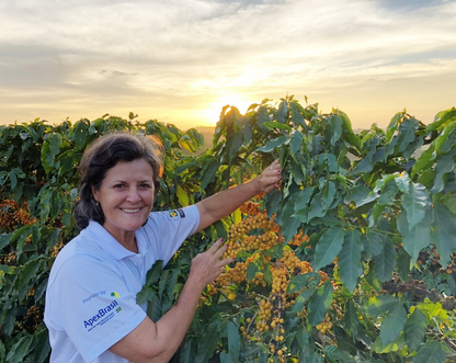 Fazenda Caxambu: A Century-Long Legacy of Excellence