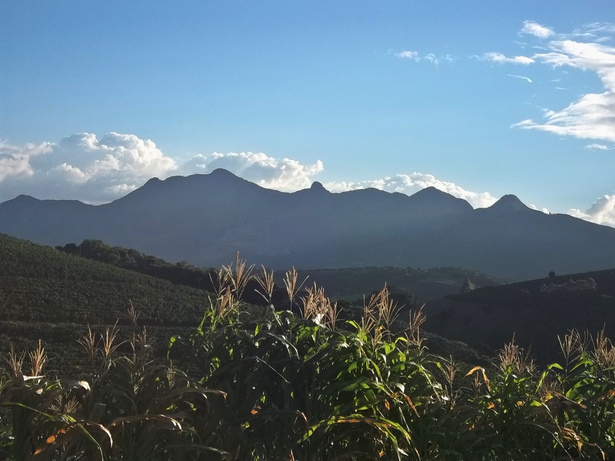 Fazenda Pedra Redonda: A Legacy of Quality and Family Heritage