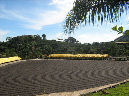 Fazenda Pedra Redonda: A Legacy of Quality and Family Heritage